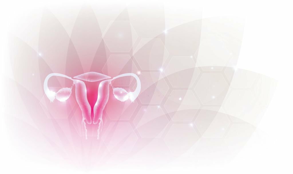 Female reproductive organs beautiful artistic design, transparent flower at the background.